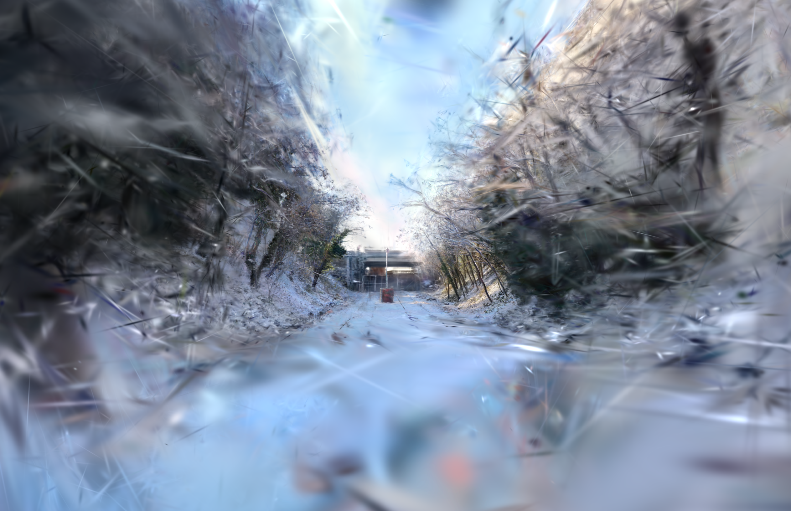 Petite Ceinture — Particle forces & splat interaction